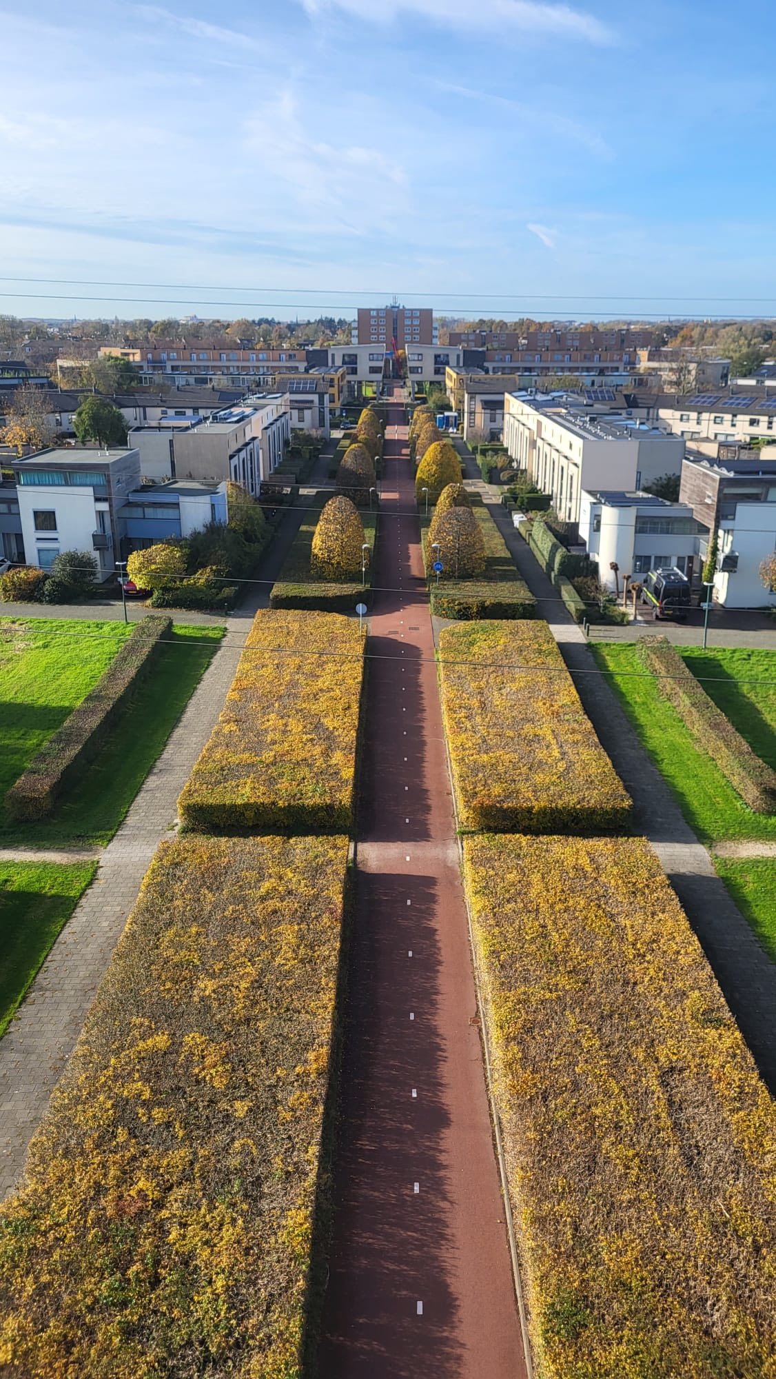 Vormbomen Oegstgeest